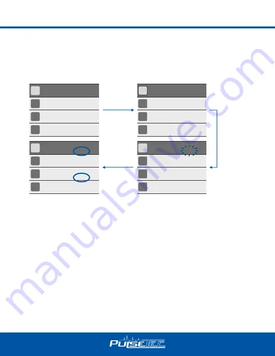 PulseTec EXCEL 200 QUAD Instruction Manual Download Page 16