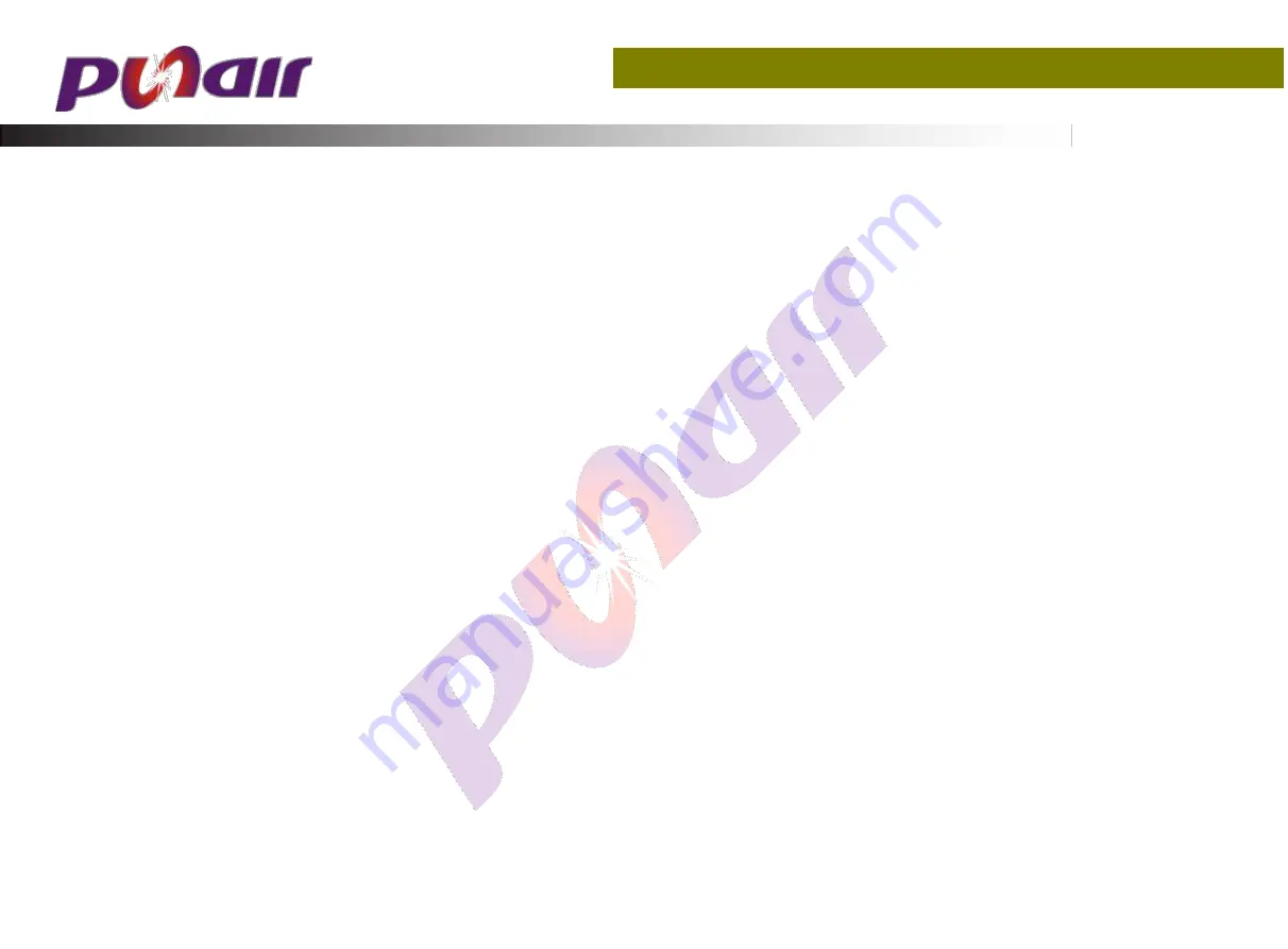 Punair MIG Series Installation Instruction Download Page 4