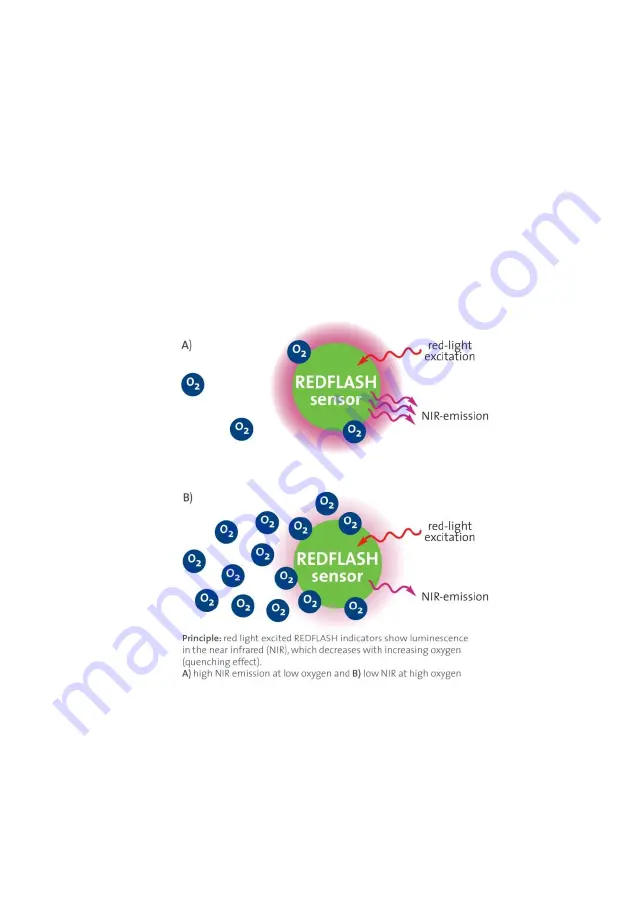 pyroscience FireStingO2 User Manual Download Page 102