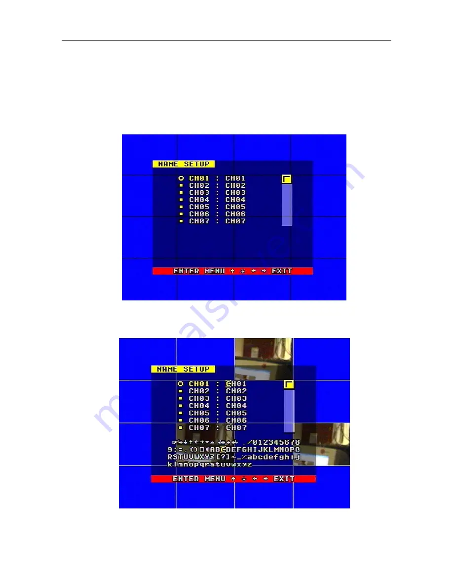 Q-See QSNDVR8/16R and Скачать руководство пользователя страница 19