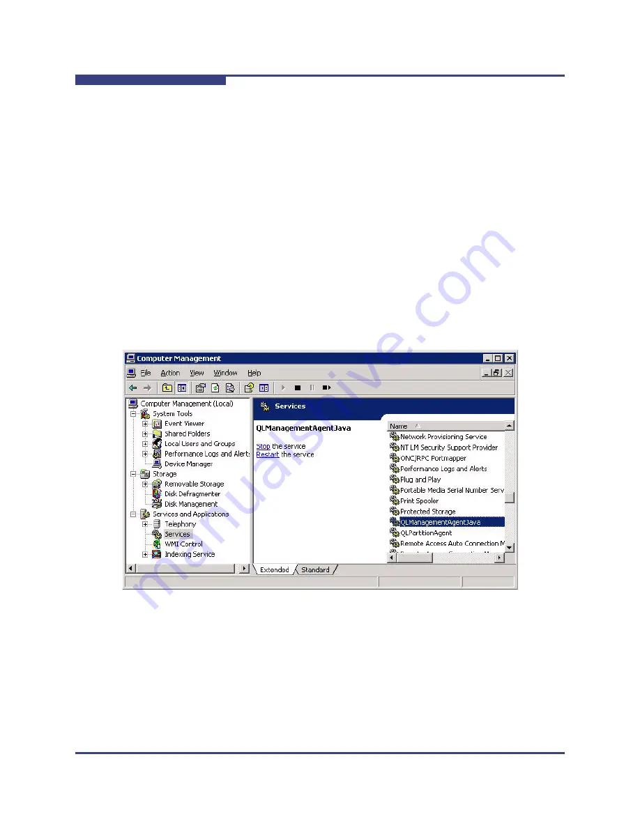 Qlogic SANsurfer FC HBA Manager User Manual Download Page 124