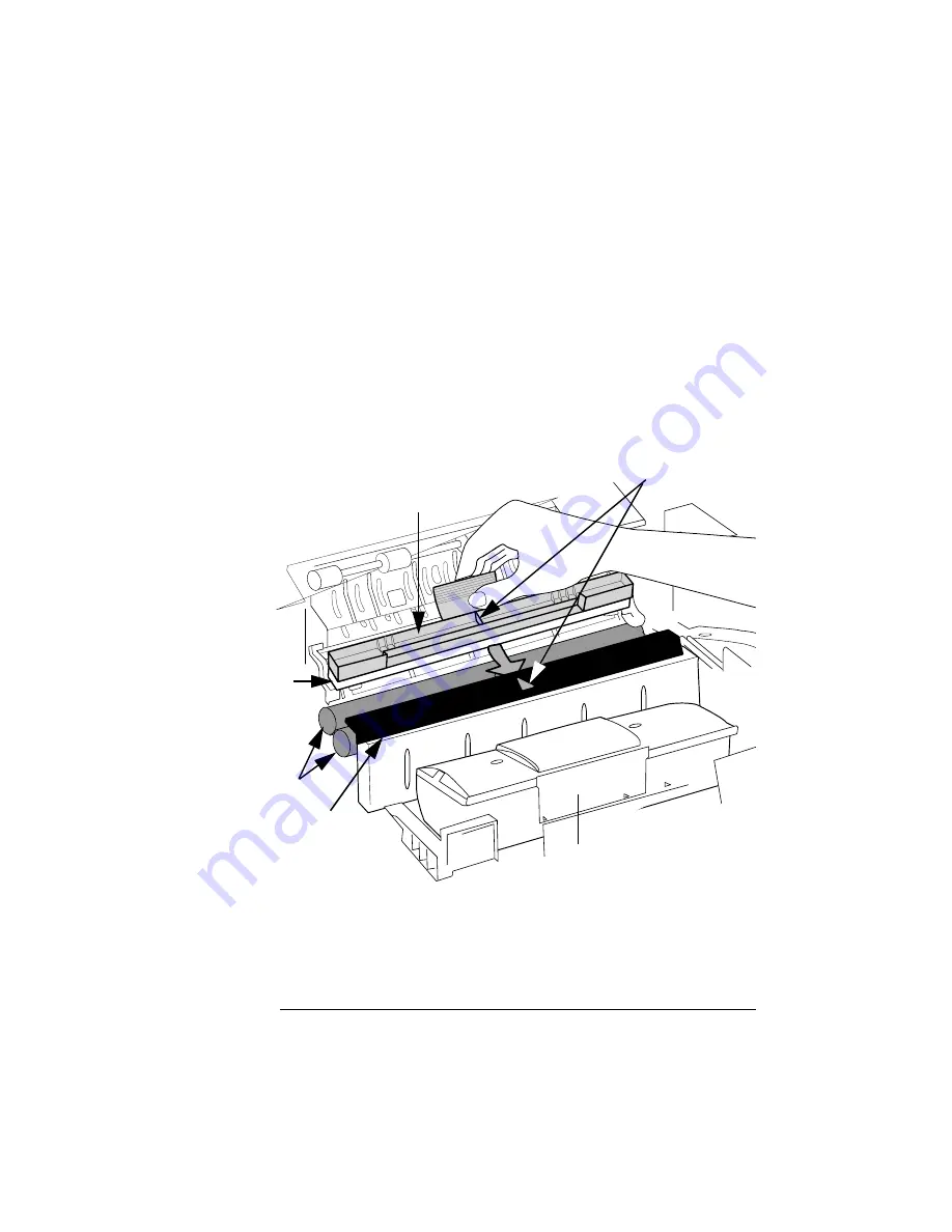 QMS Magicolor WX User Manual Download Page 25