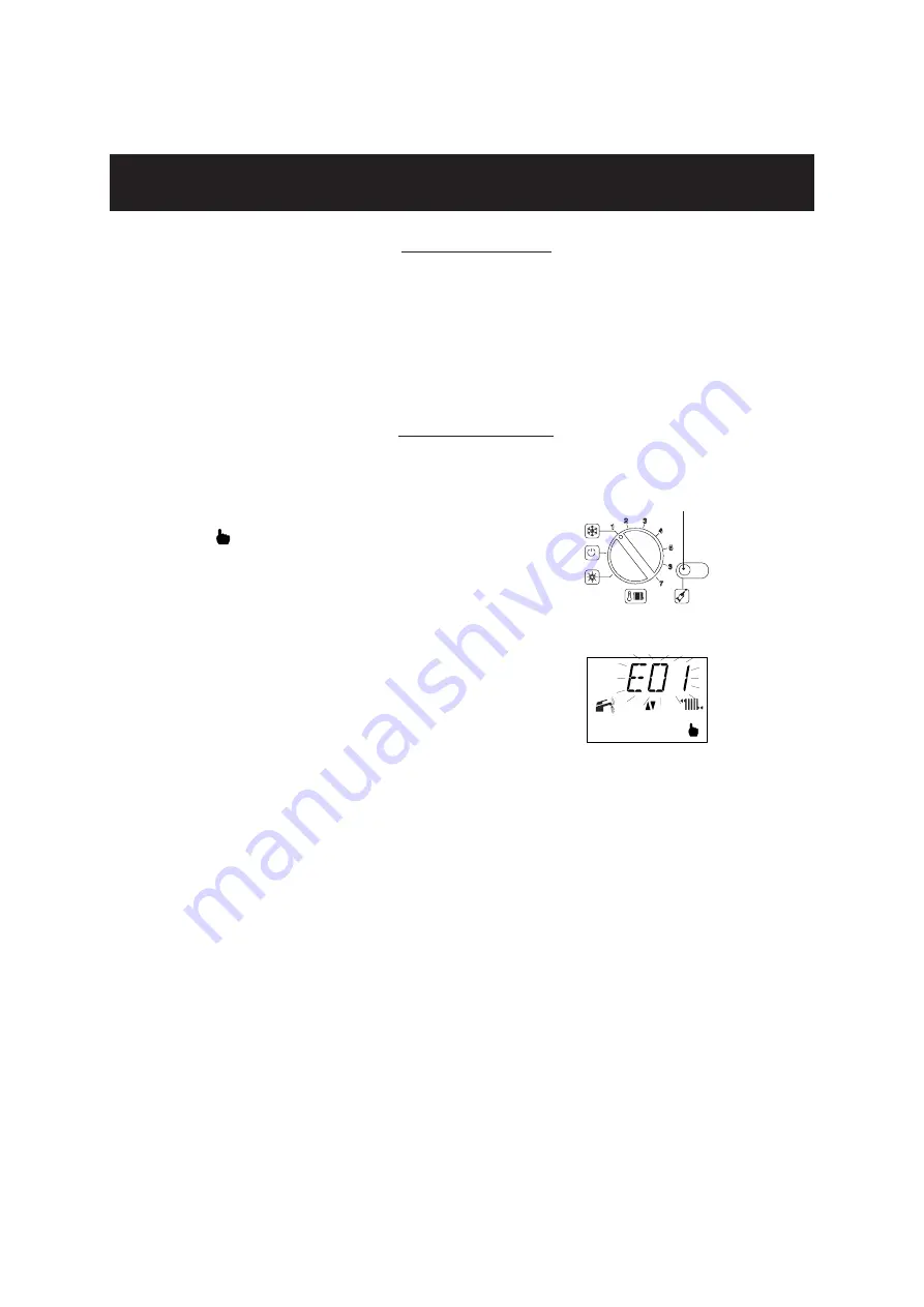 QUINCY HYDRONIC TECHNOLOGY Riva ADVANCE COMBI User Manual And Instructions Download Page 19