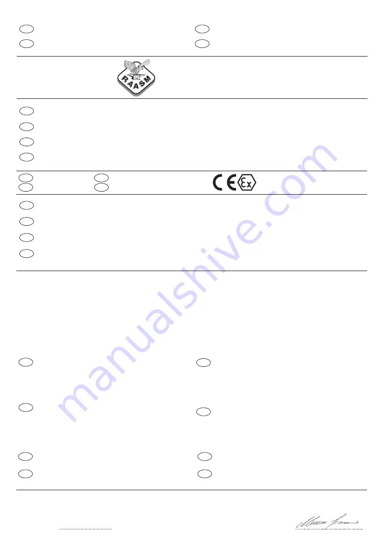 RAASM s.290 Original Instructions Manual Download Page 50