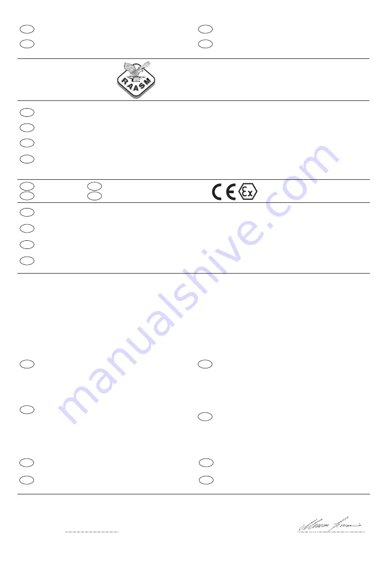 RAASM s.290 Original Instructions Manual Download Page 52