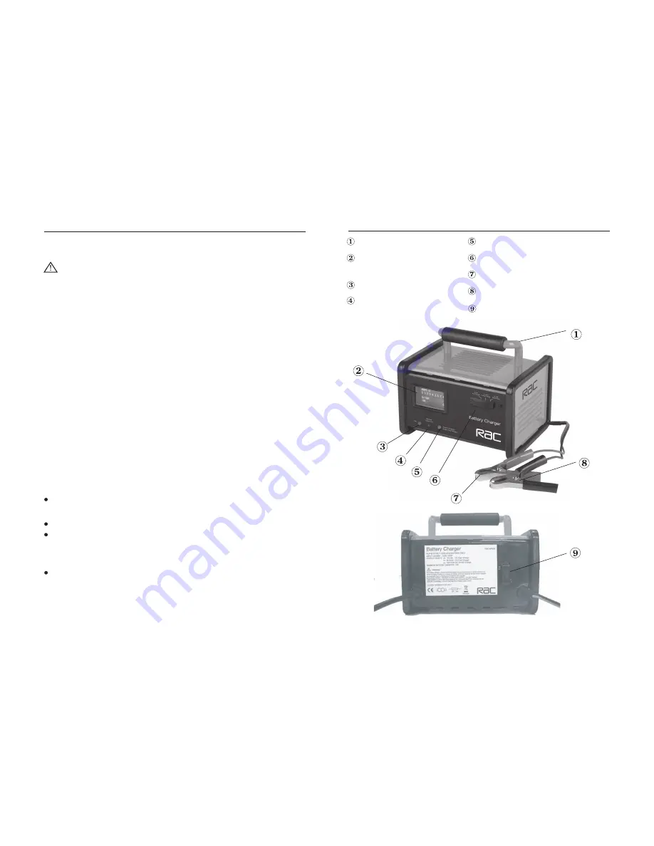 Rac RAC-HP026 Скачать руководство пользователя страница 2