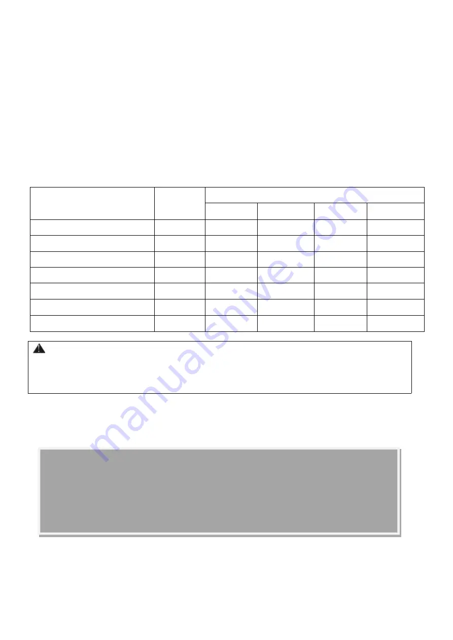 Racer INVERTER 11 Manual Download Page 16