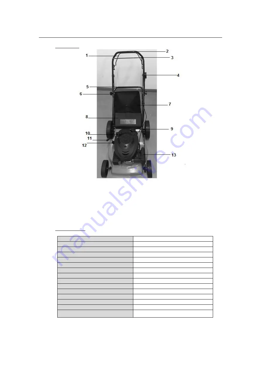 Racing RAC4640PL-1 Скачать руководство пользователя страница 7