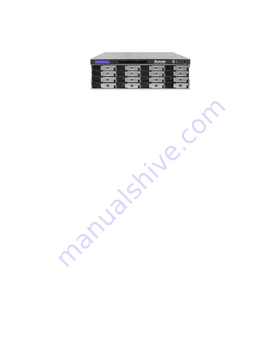 Rackable Systems S3118 User Manual Download Page 3