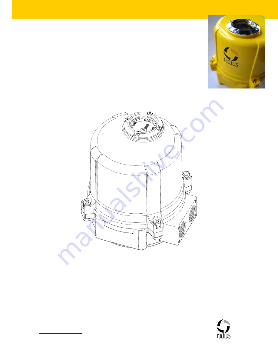 Radius EW 350 Installation, Maintenance And Operation Manual Download Page 1