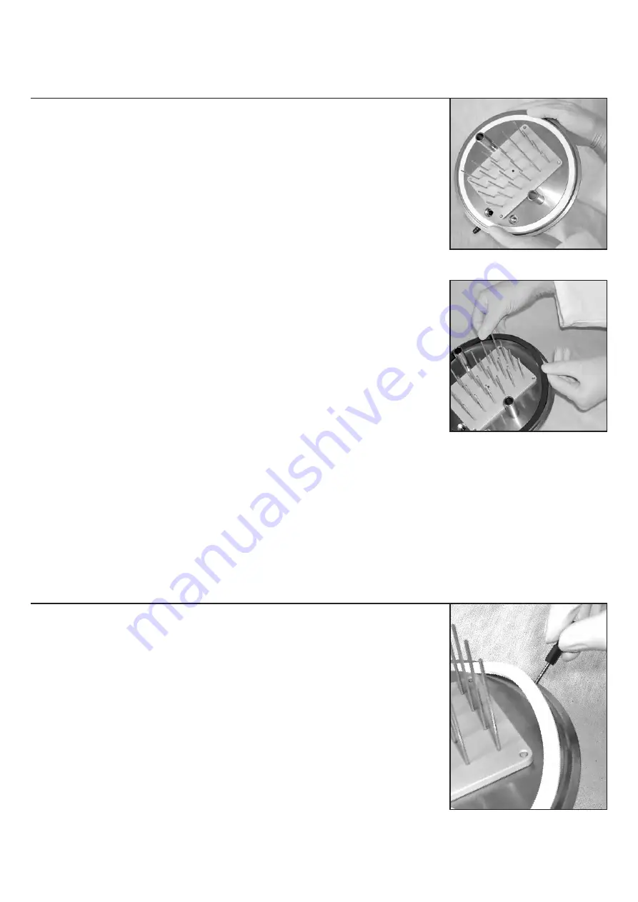 Radleys GreenHouse Instructions Manual Download Page 15