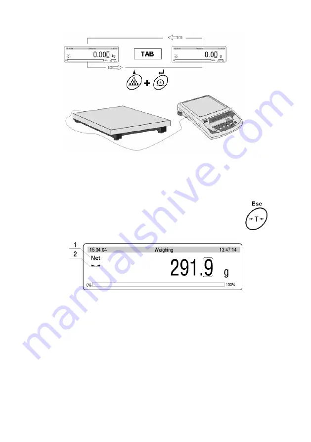 RADWAG WLT L Series User Manual Download Page 19