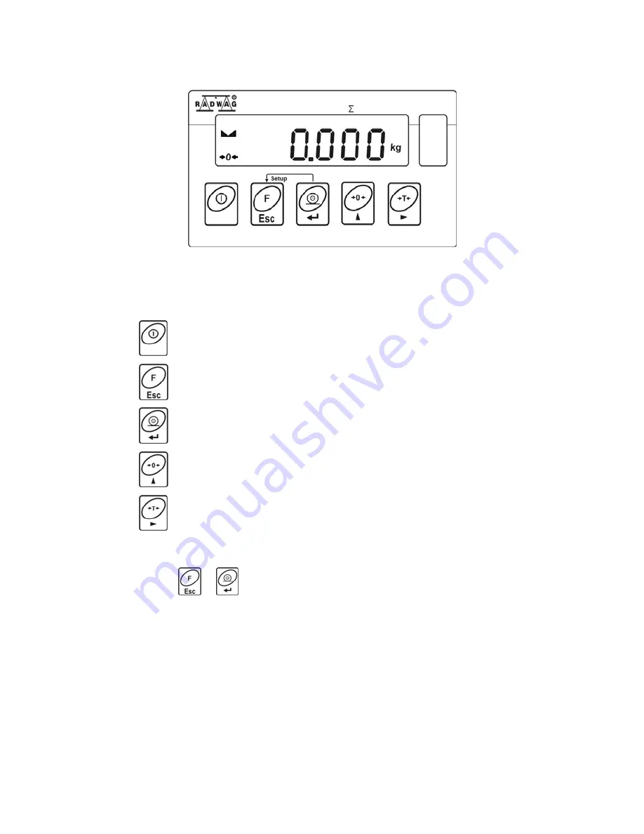 RADWAG WPF User Manual Download Page 20