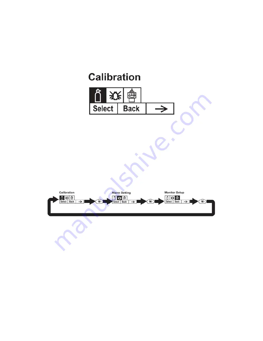 Rae MiniRAE Lite User Manual Download Page 39