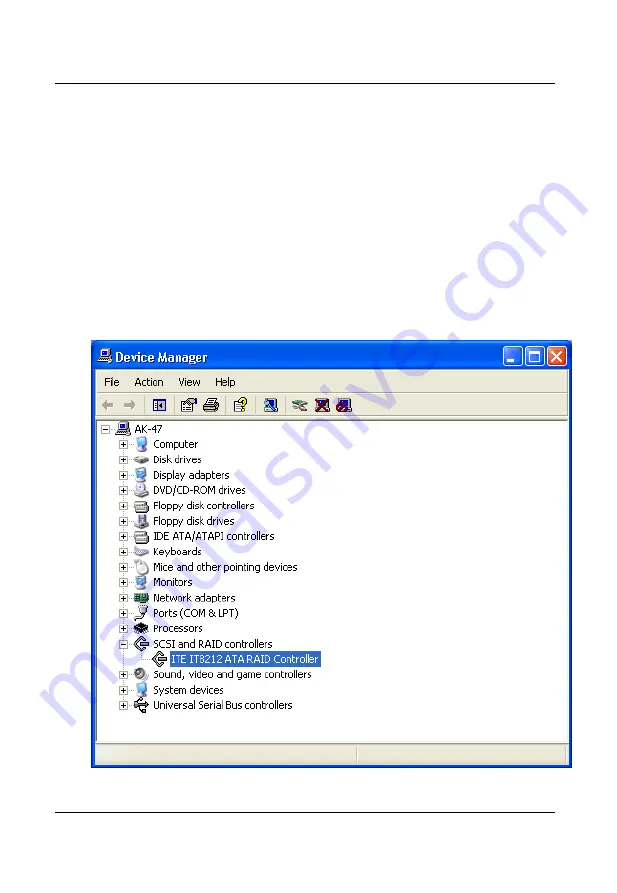 RAID RAIDExpress 133 User Manual Download Page 45