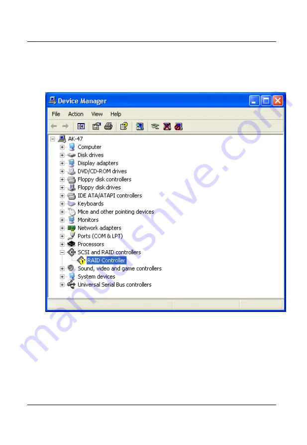 RAID RAIDExpress 133 User Manual Download Page 46