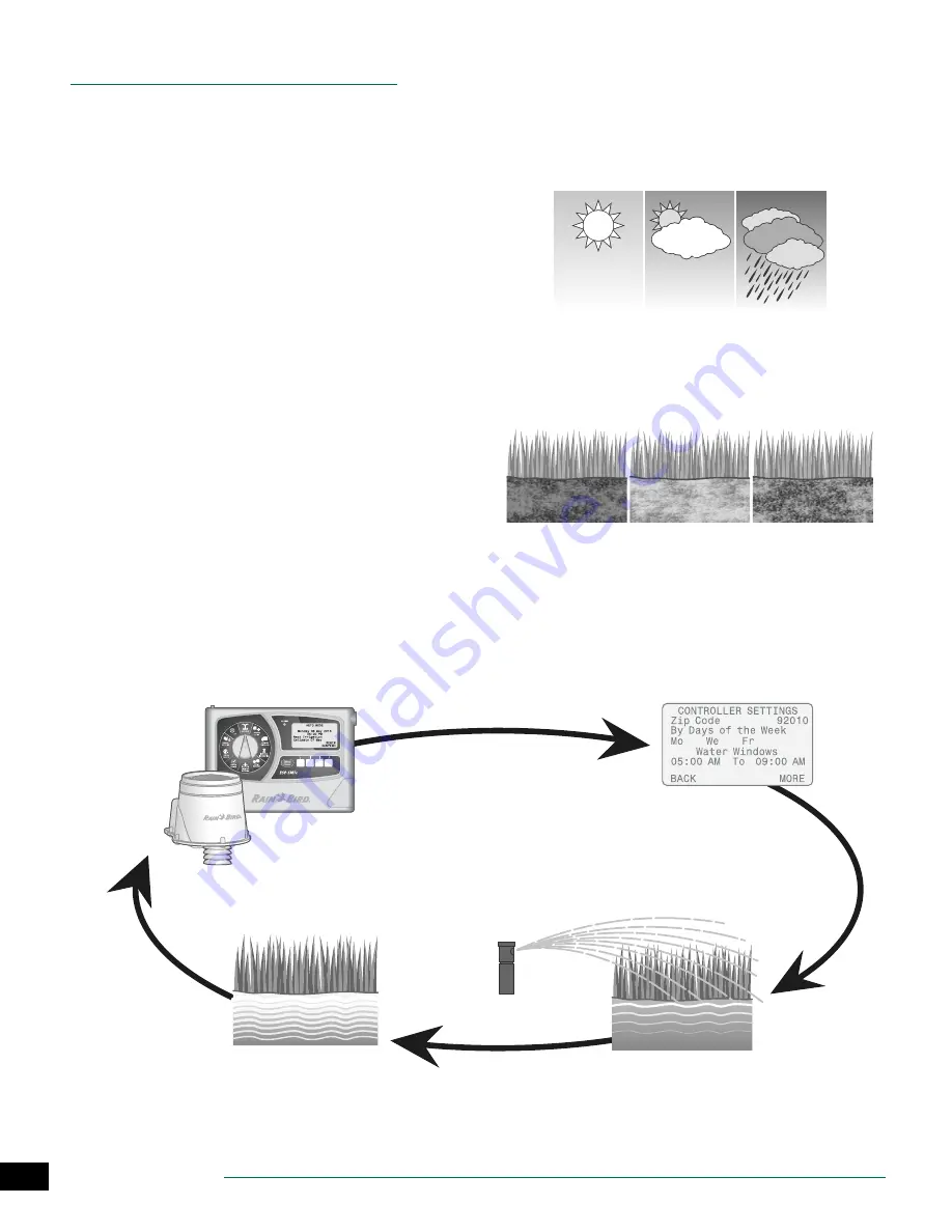 Rain Bird ESP-SMTe Скачать руководство пользователя страница 21