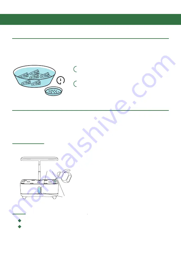 RainPoint HGS-Z238 User Manual Download Page 9