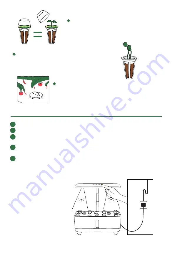 RainPoint HGS-Z238 User Manual Download Page 13