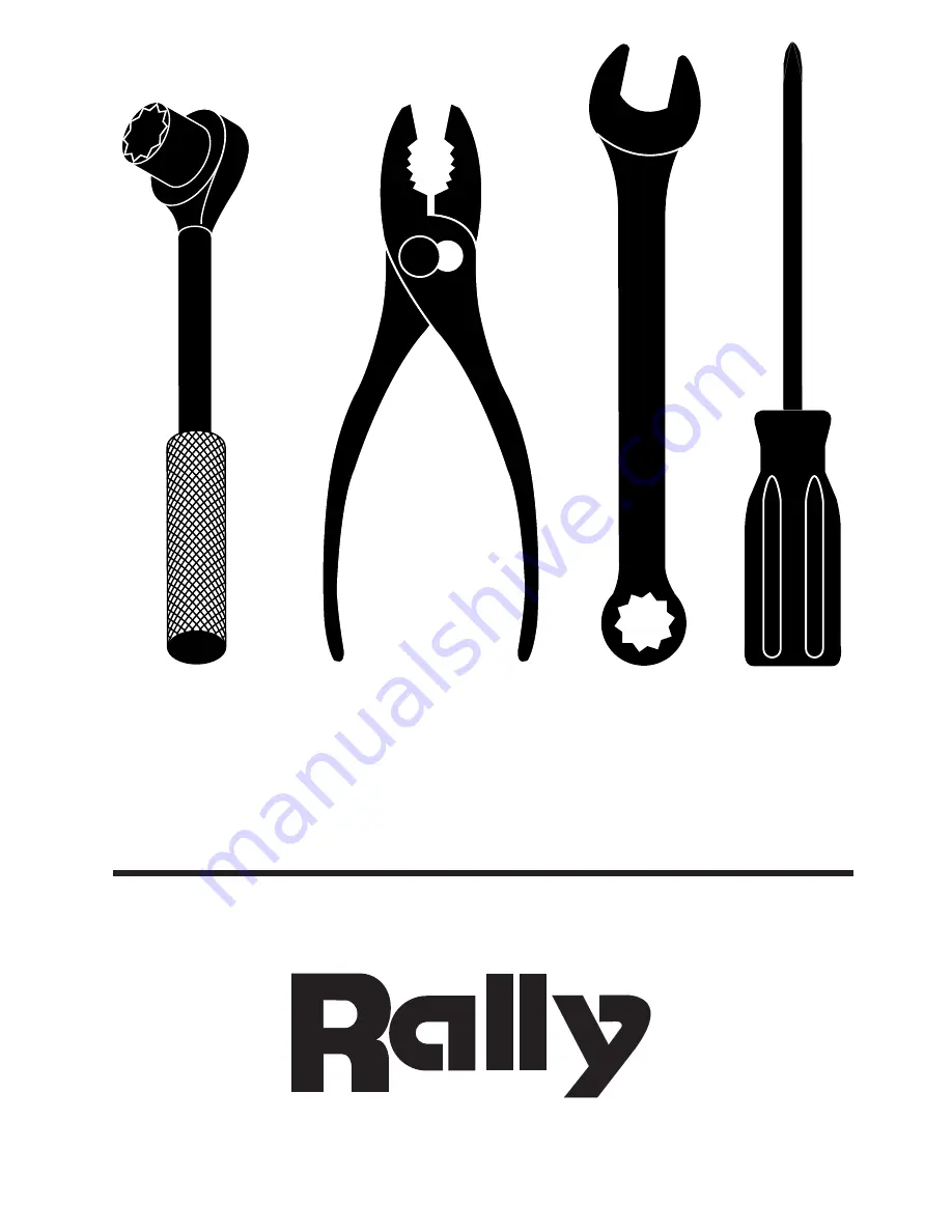 Rally CO15538LT Скачать руководство пользователя страница 1