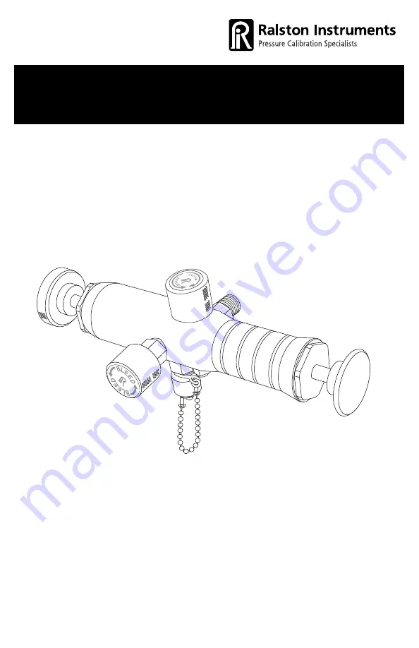 Ralston Instruments DPPV Скачать руководство пользователя страница 1