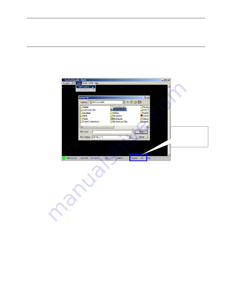 Raritan Dominion SX16 Installation And Operation Manual Download Page 38