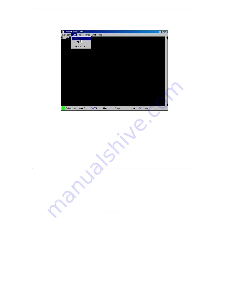 Raritan SX32 Installation And Operation Manual Download Page 31