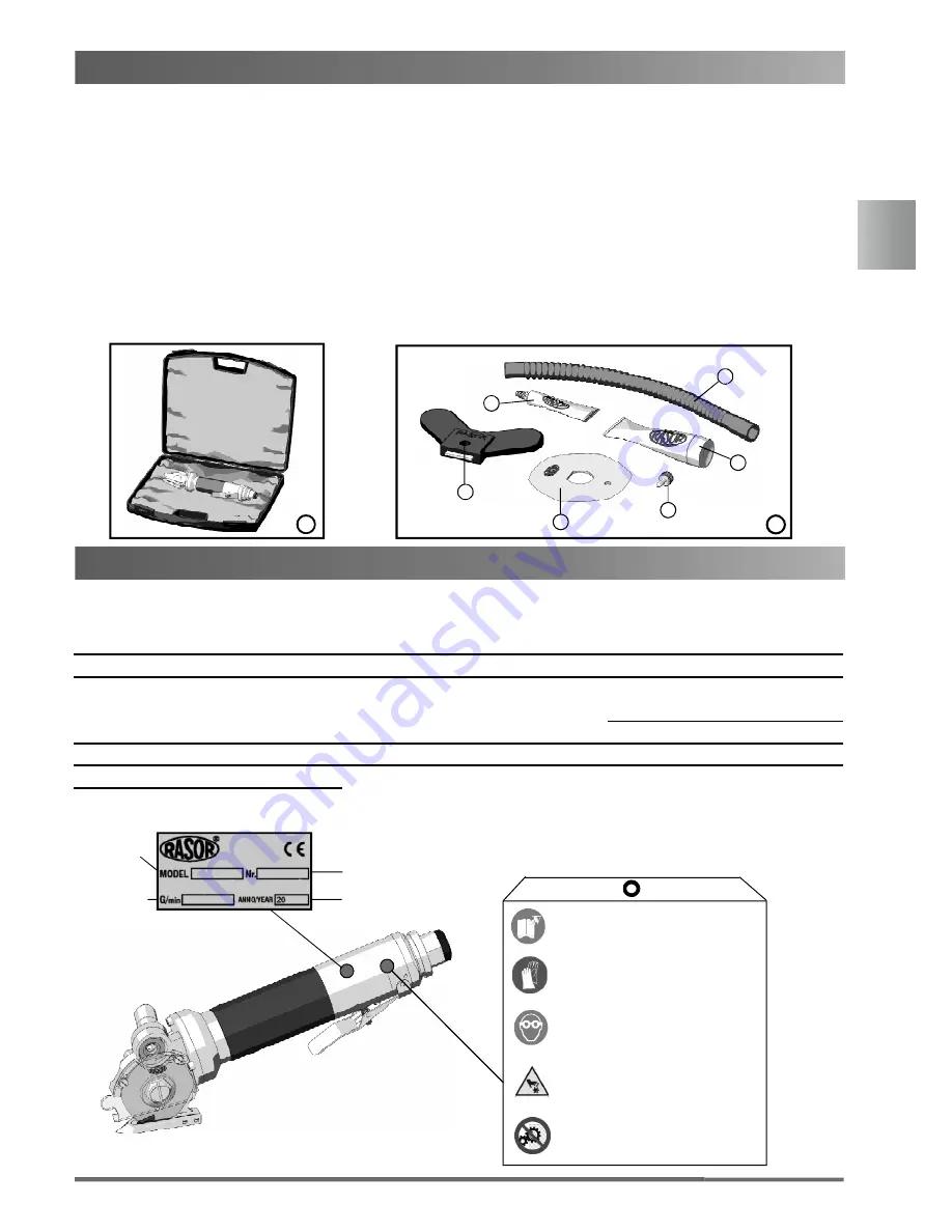 RASOR FP503 Скачать руководство пользователя страница 5