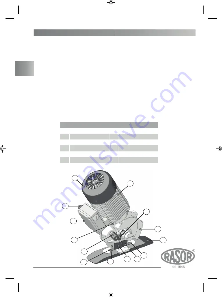 RASOR GRT12DT Use Manual Download Page 6