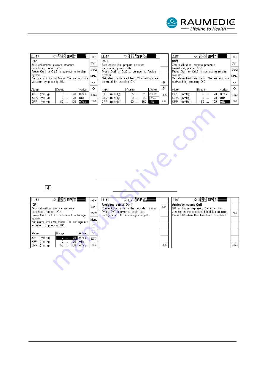 RAUMEDIC MPR2 logO Instructions For Use Manual Download Page 42