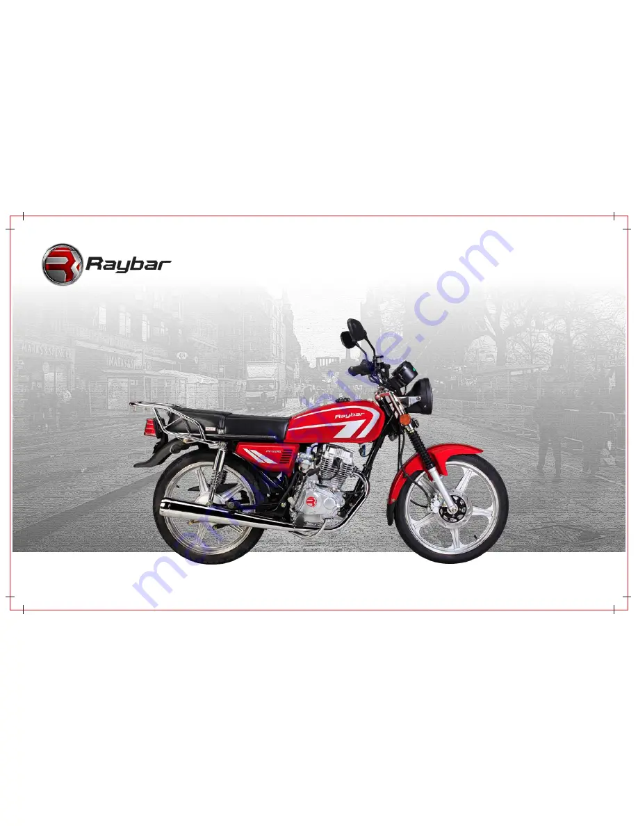 Raybar RY-125PRO User Manual Download Page 1