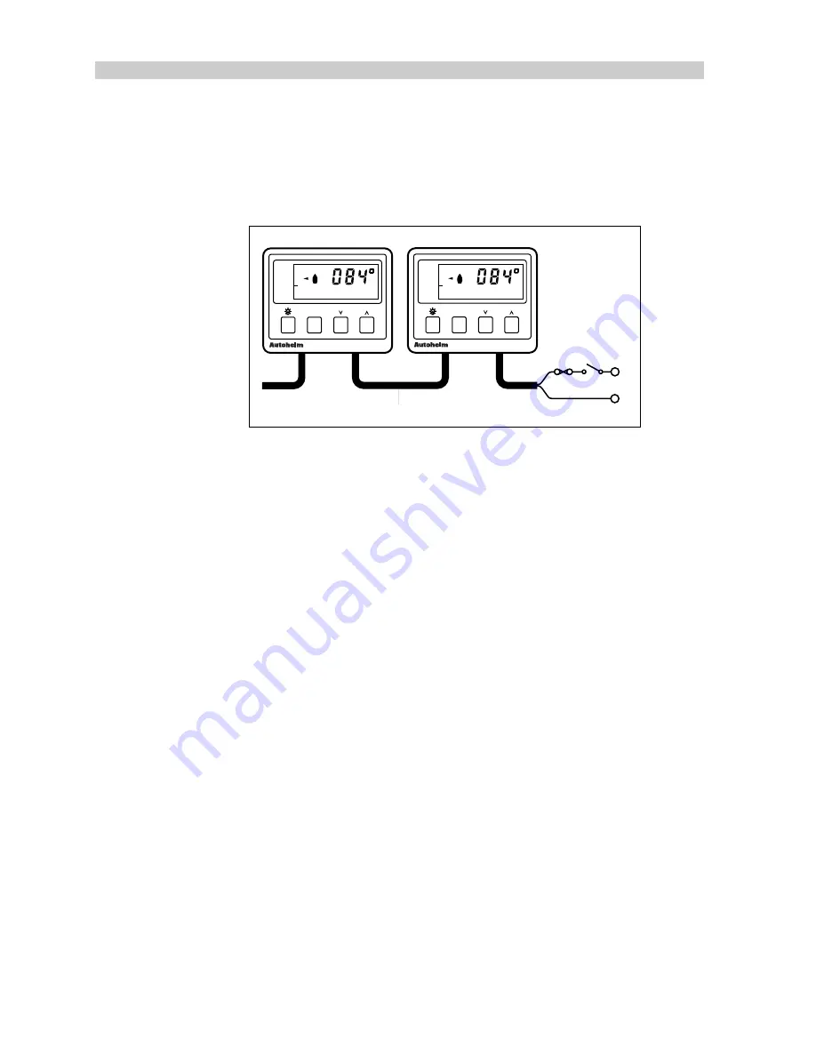 Raymarine Compass Manual Download Page 19