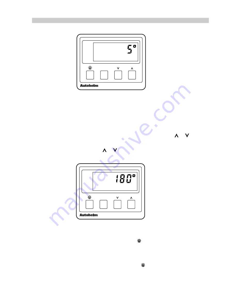 Raymarine Compass Manual Download Page 22