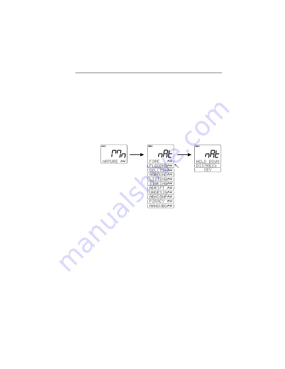 Raymarine Ray230 Скачать руководство пользователя страница 78