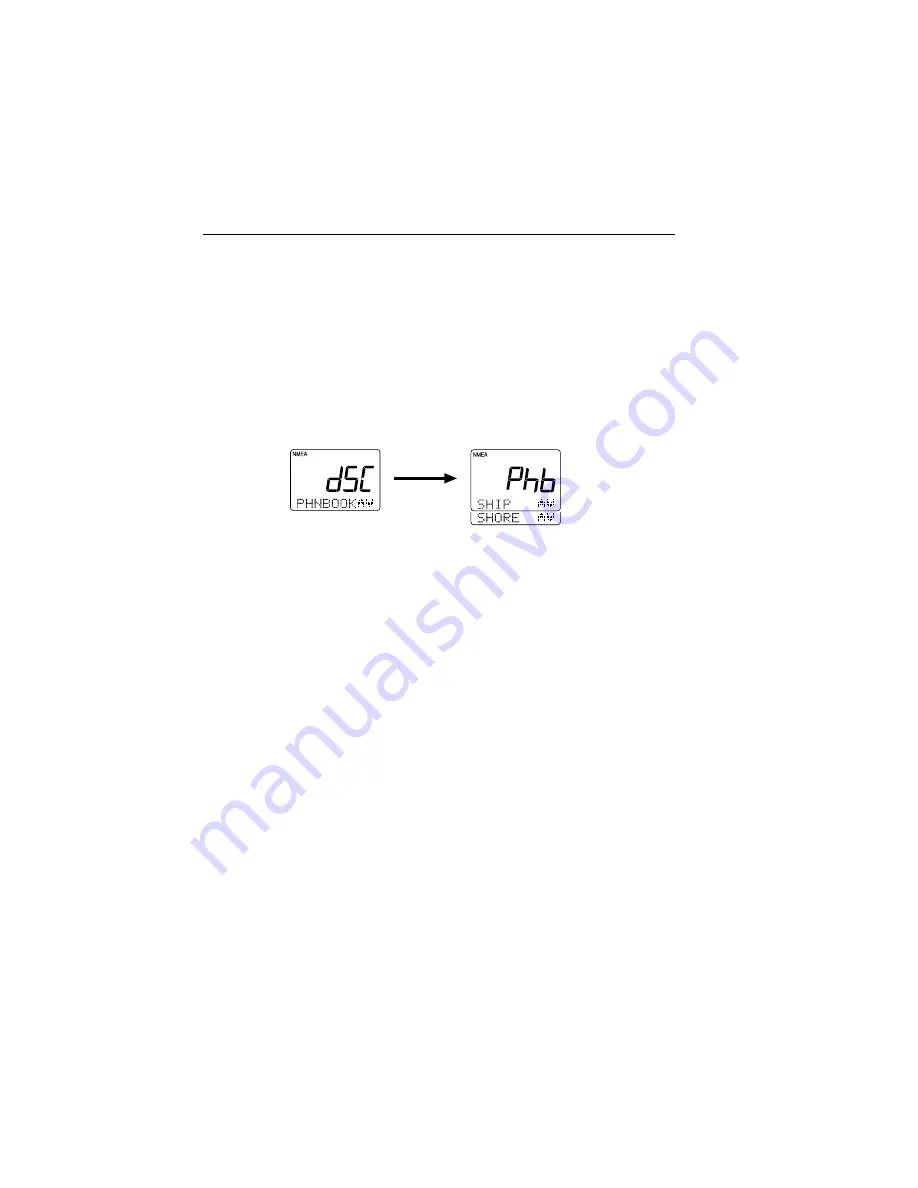 Raymarine Ray230 Owner'S Handbook Manual Download Page 81