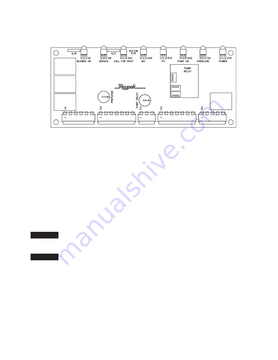 Raypak 1001 Скачать руководство пользователя страница 51