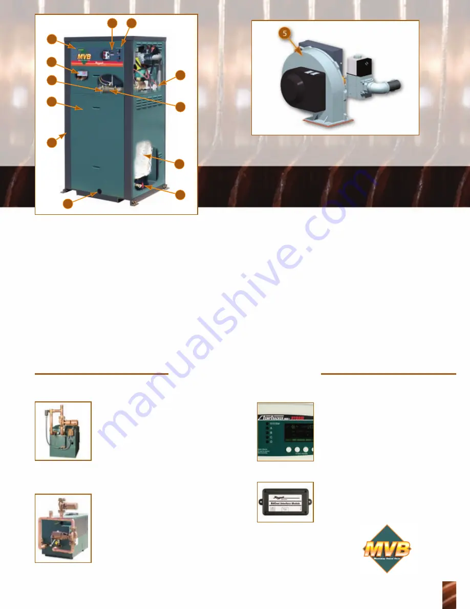 Raypak MVB 503 Скачать руководство пользователя страница 3