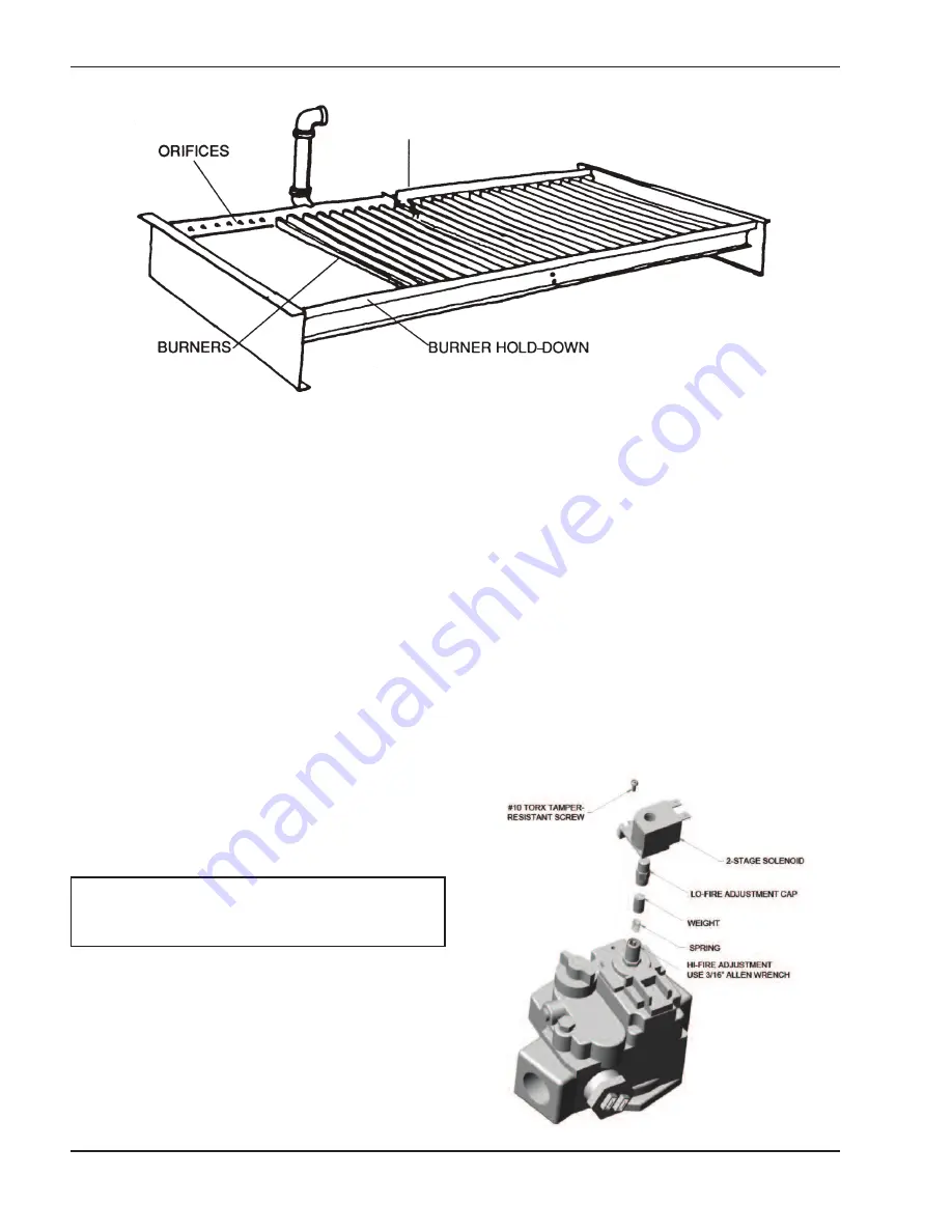 Raypak Power Vent Raytherm 4001 Скачать руководство пользователя страница 46