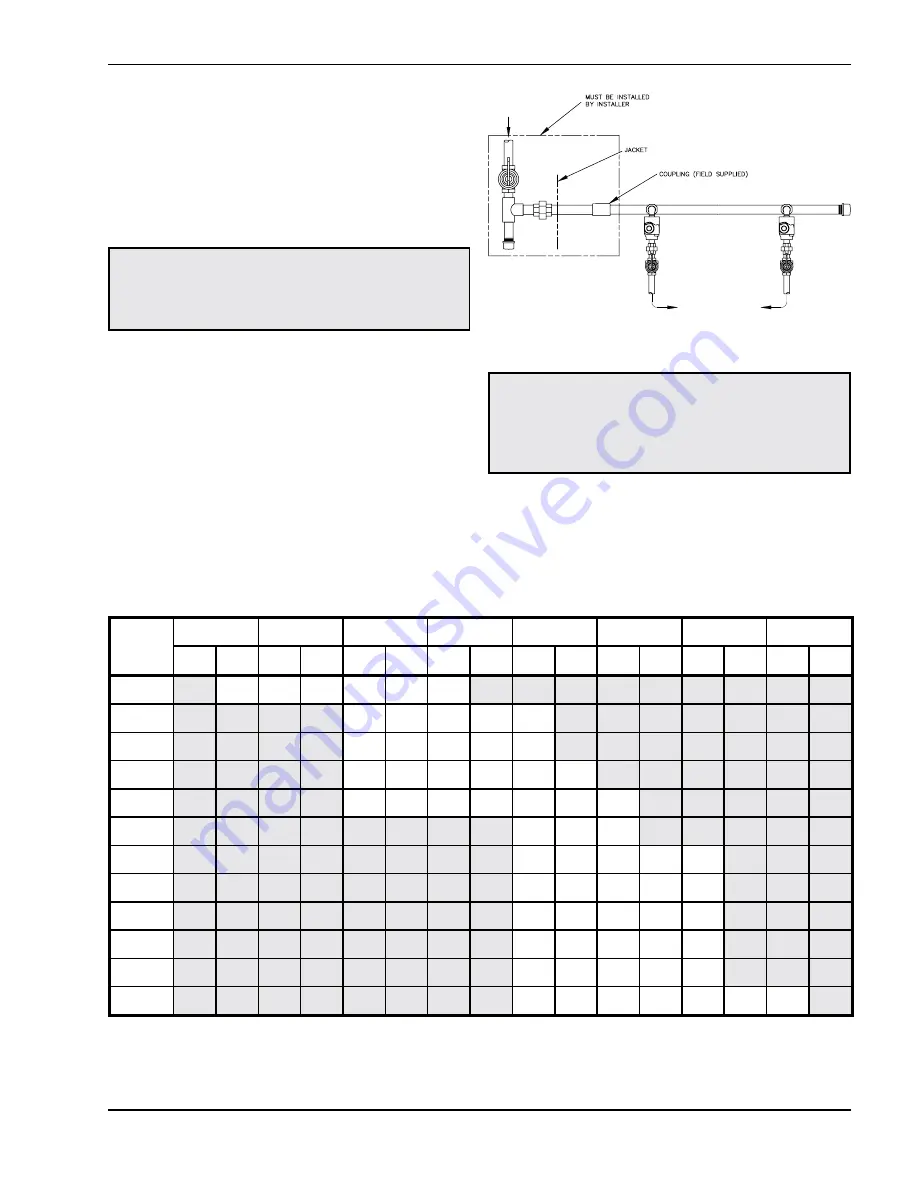 Raypak Raypak Delta Limited 1259B Installation & Operating Instructions Manual Download Page 19