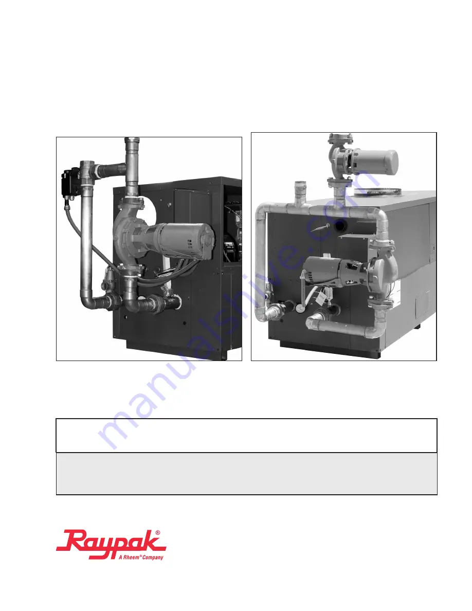 Raypak Raypak Delta Limited WH1-399B Скачать руководство пользователя страница 1