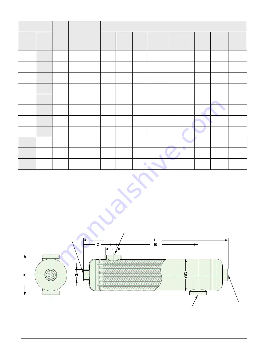 Raypak RP-045 Скачать руководство пользователя страница 6