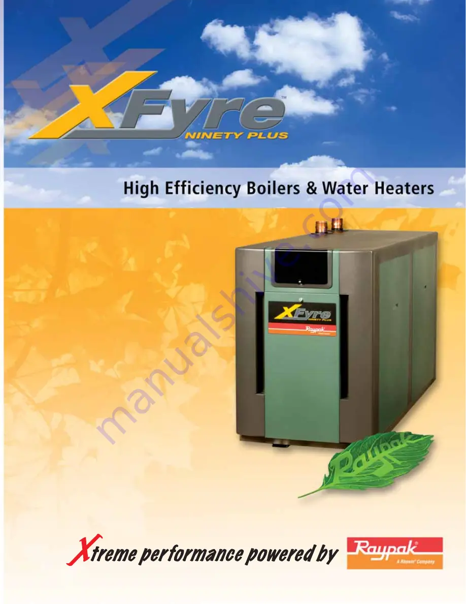 Raypak XFYRE NINETY PLUS 300 Brochure & Specs Download Page 1