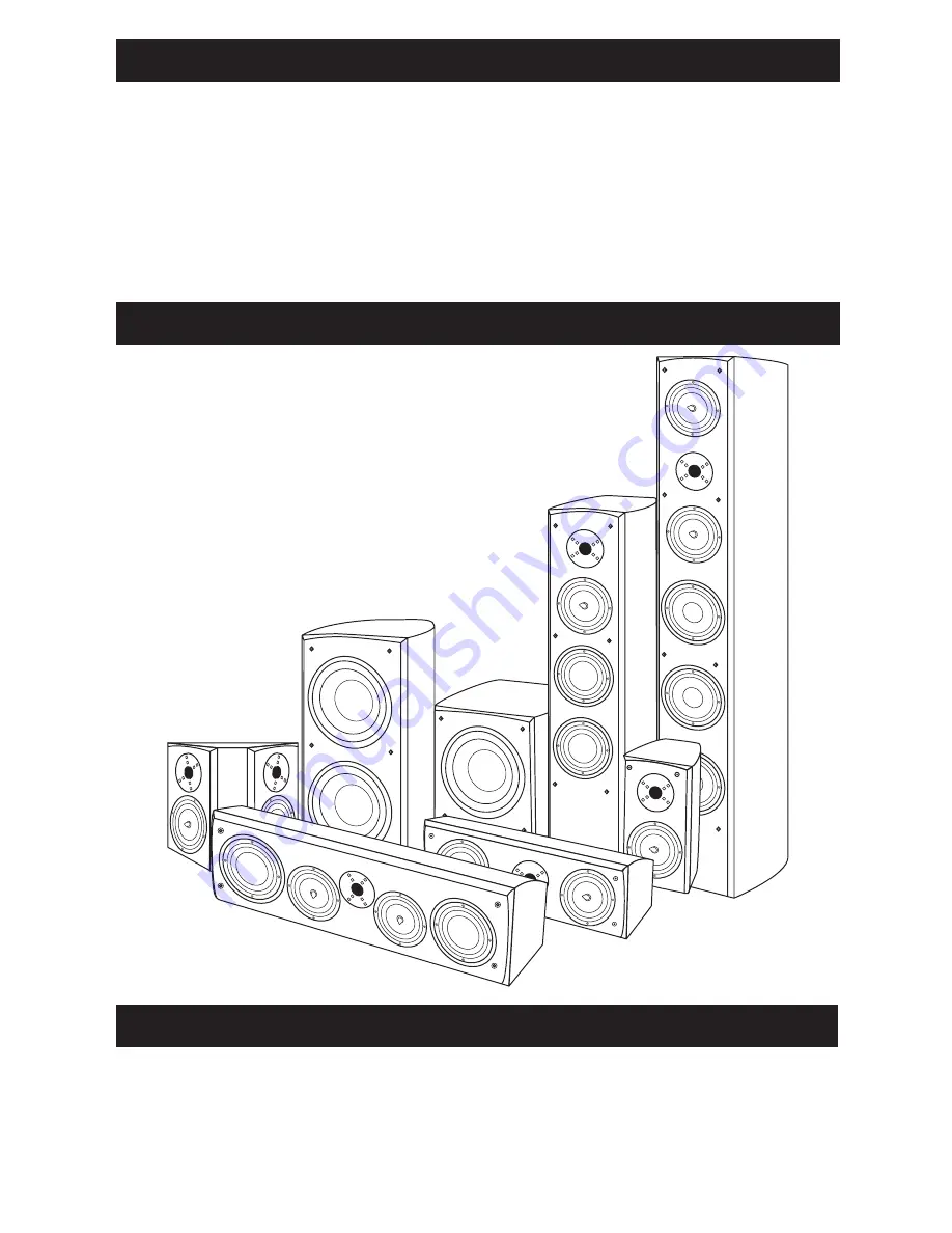 RBH Sound Impression R55Ti Скачать руководство пользователя страница 3