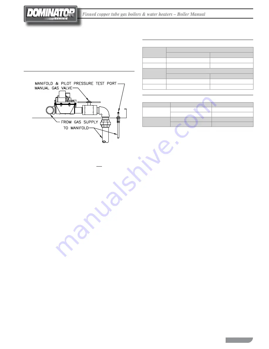 RBI Dominator 1050-1350 Скачать руководство пользователя страница 29