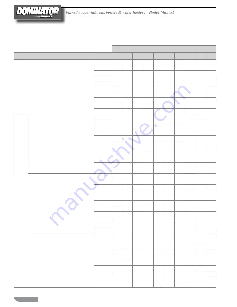 RBI Dominator 1050-1350 Installation & Operating Instructions Manual Download Page 42