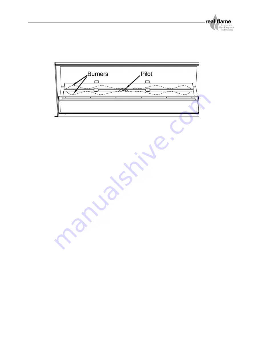 Real Flame EXURO IO1000 Installation & Operating Manual Download Page 9