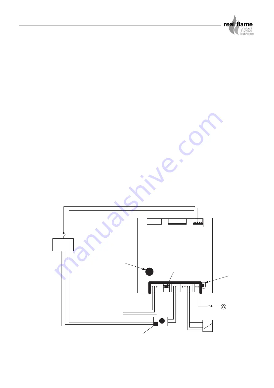 Real Flame Power Flue Installation & Operating Manual Download Page 19