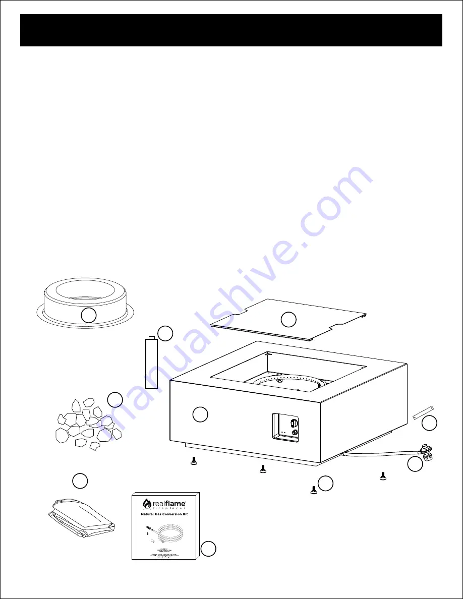 RealFlame Aegean C9812LP Скачать руководство пользователя страница 6