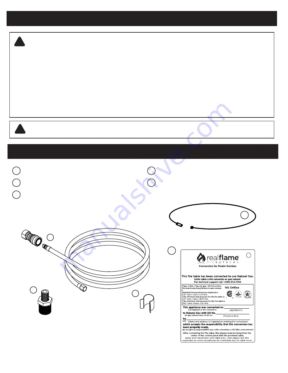 RealFlame C1510LP Manual Download Page 2