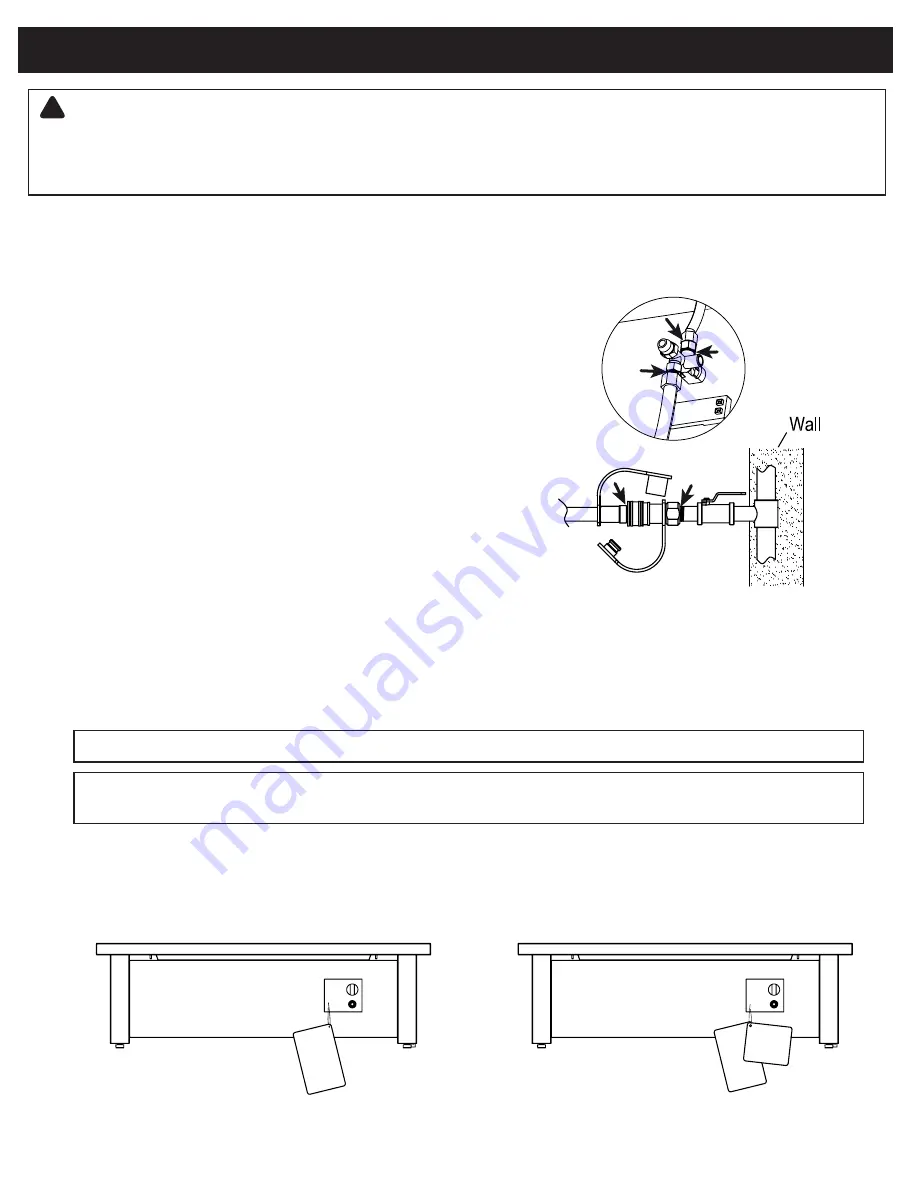 RealFlame C1510LP Manual Download Page 10